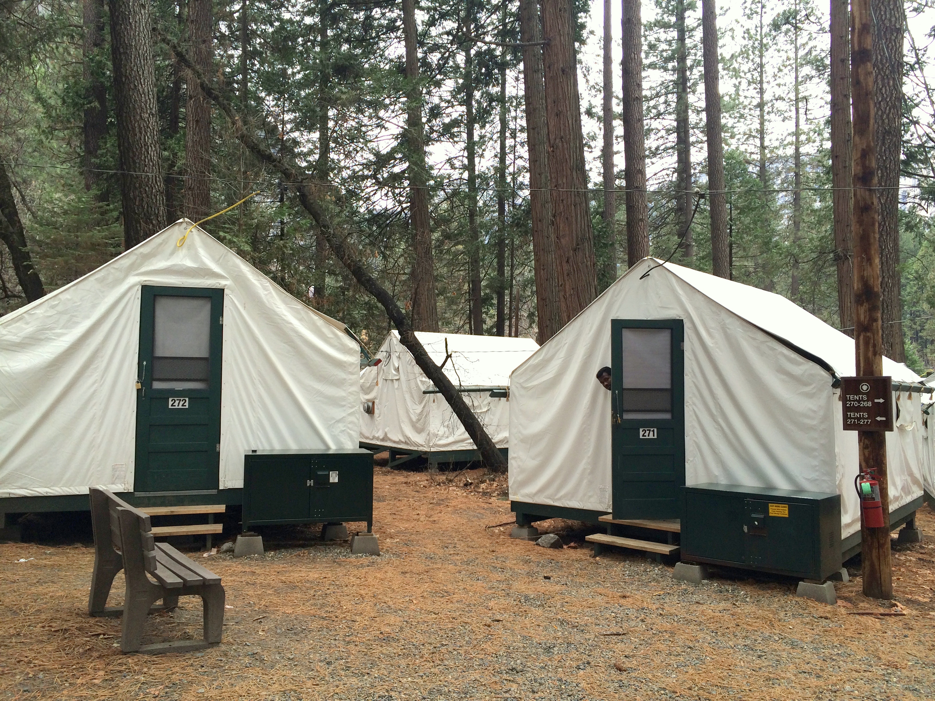 Curry village tents