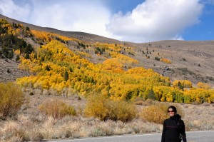 Fall colors in Sierra Nevada