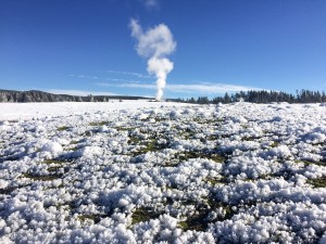 Old Faithful from the trail
