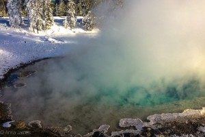 Lower geyser basin