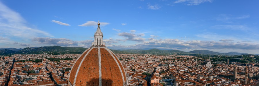Florence skyline from Giotto's tower
