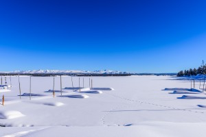 A frozen Hebgen lake