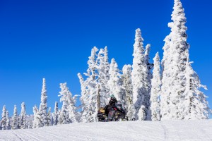 Snowmobiling in Targhee national forest