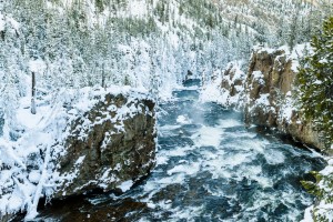Firehole river flowing through the canyon