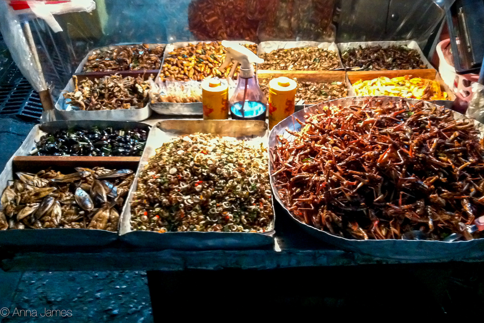 Fried crickets and other larvae