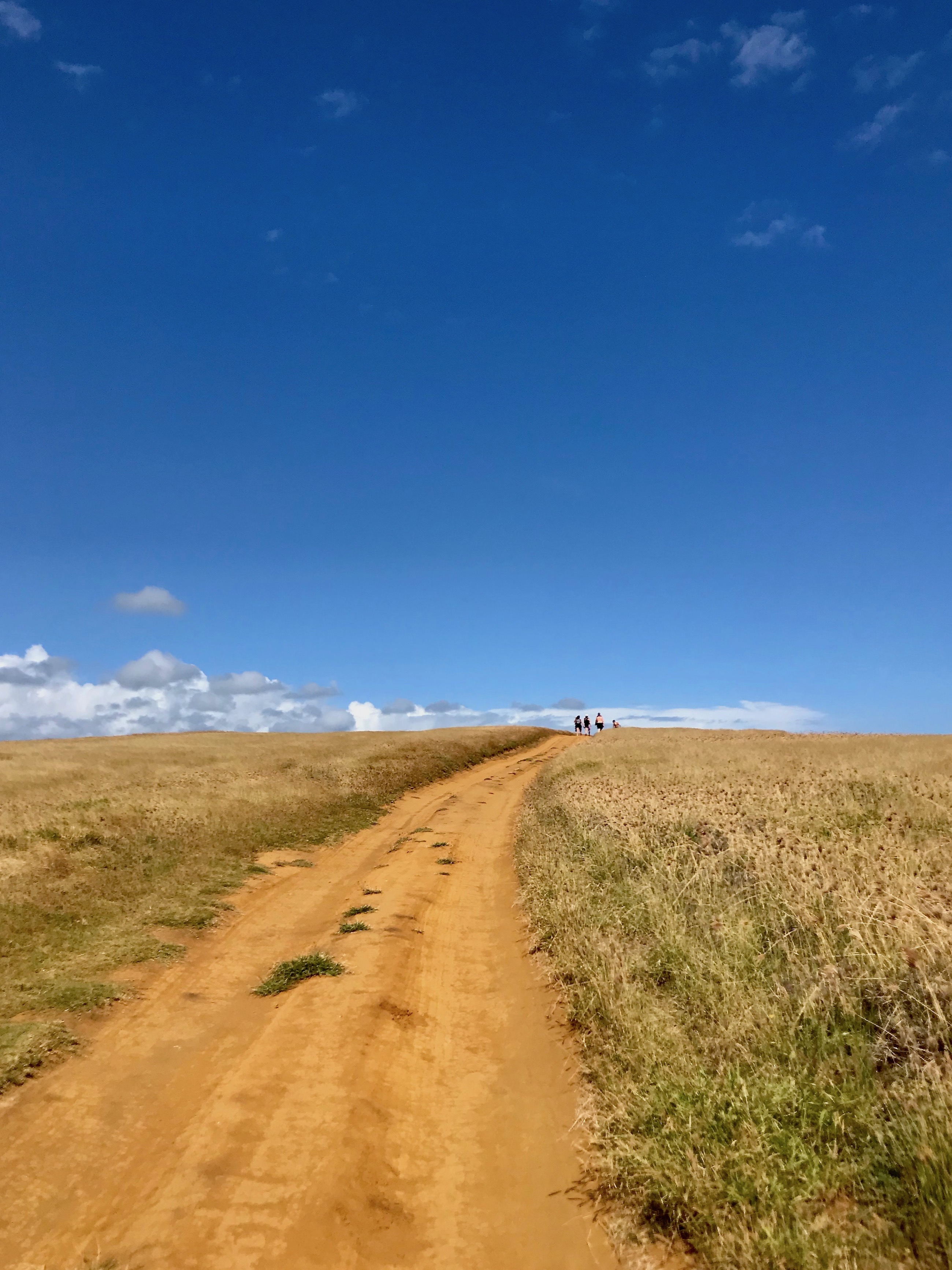 Trail to Papakōlea beach